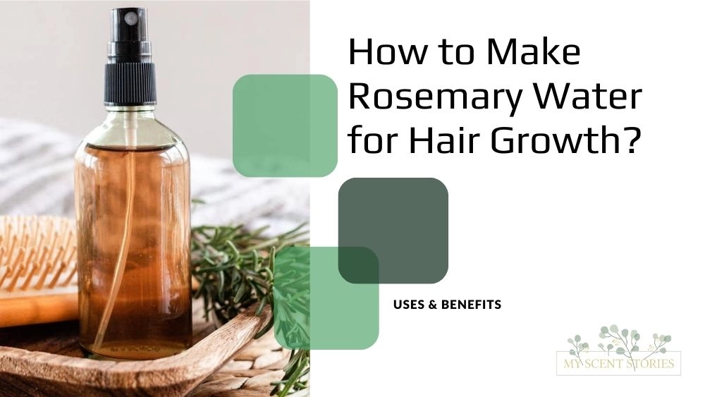 How to make rosemary water for hair? Uses & benefits