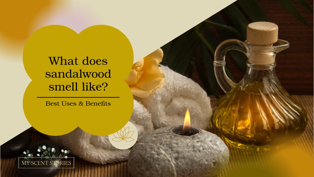 What does sandalwood smell like? Uses and benefits