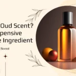 What is Oud Scent? Expensive Perfume Ingredient
