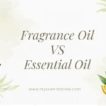 Essential Oils vs Fragrance Oils_ Key Differences between them