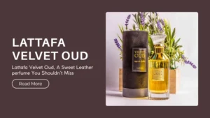 Lattafa Velvet Oud, A Sweet Leather perfume You Shouldn’t Miss