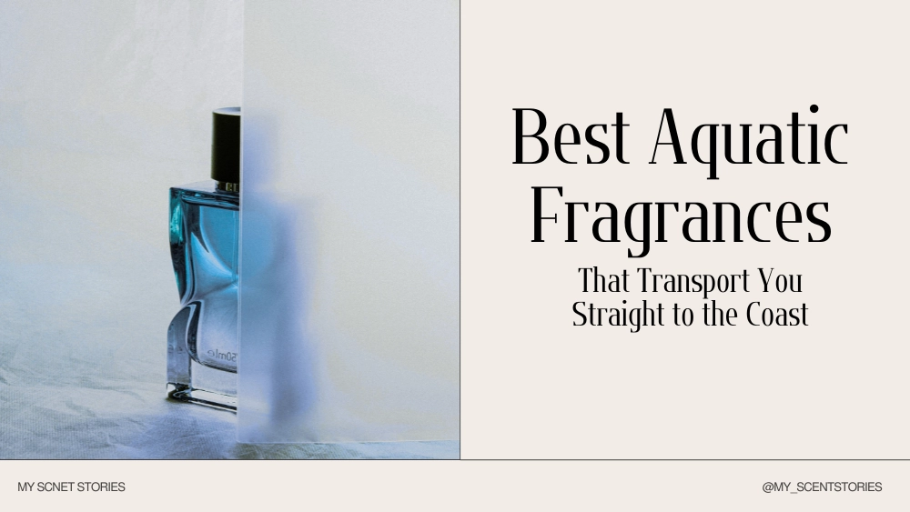 10 Best Aquatic Fragrances That Transport You Straight to the Coast 1 Best Aquatic Fragrances That Transport You Straight to the Coast