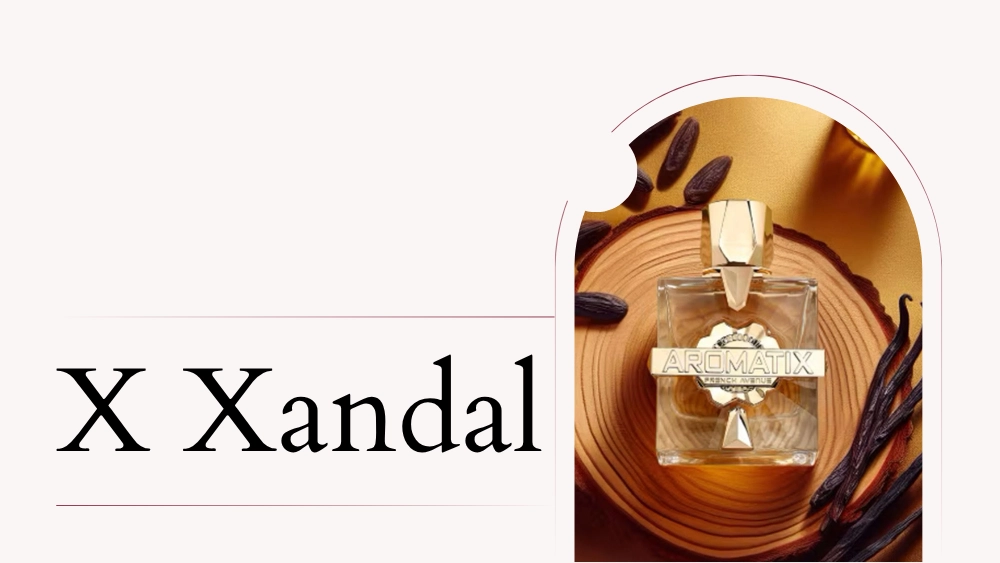 The Best Fall Fragrances for Men (That Actually Smell Sexy) 11 X Xandal from the list of best fall fragrances for men